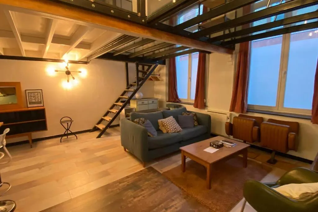 アパート Vaste T2 Duplex Lille Beaux Arts - Renaudアパートメント